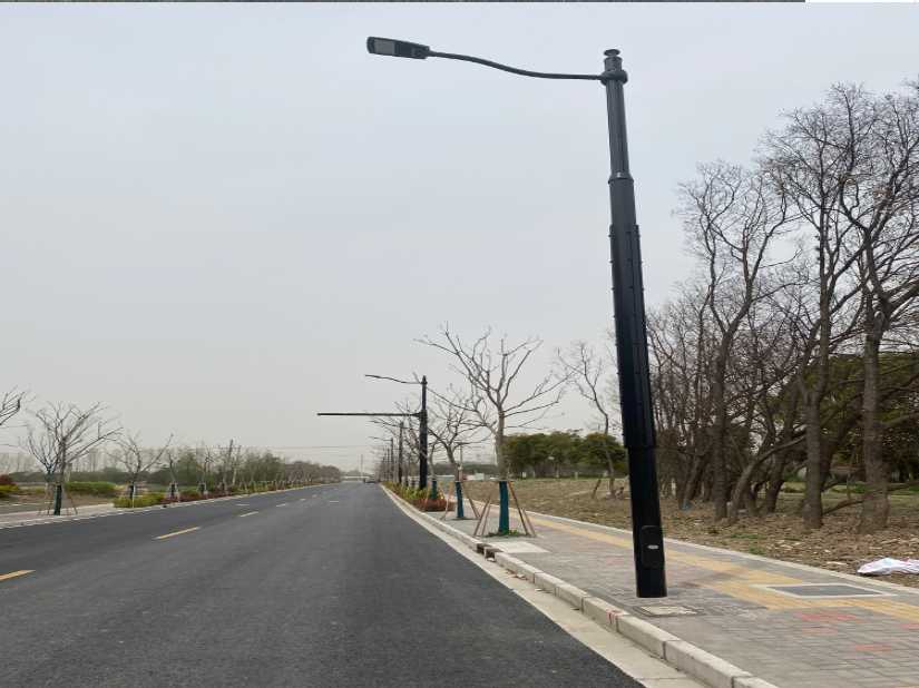 阿拉善左旗上海综合杆 太阳能路灯工程